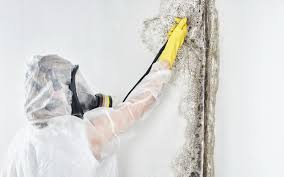 Best Dehumidification Services  in Waynesburg, OH